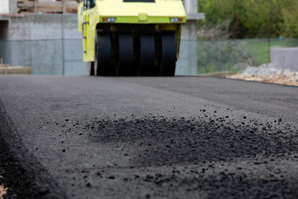 Best Local Driveway Pavers  in Rainbow Park, FL