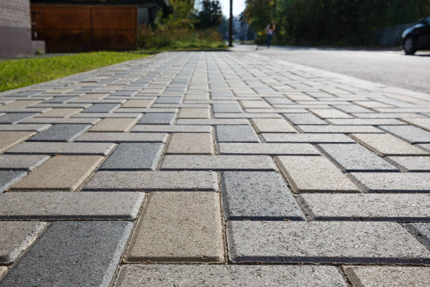 Best Decorative Driveway Pavers  in Rainbow Park, FL