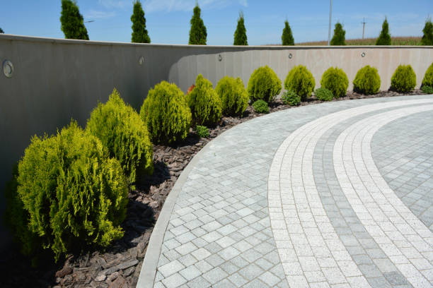 Reasons to Select Us for Your Driveway Paving Requirements in Rainbow Park, FL