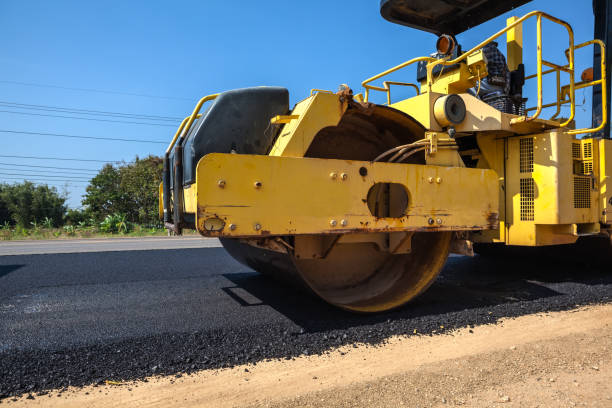 Best Decorative Driveway Pavers  in Rainbow Park, FL
